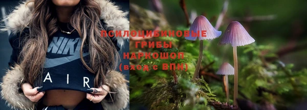 apvp Сатка